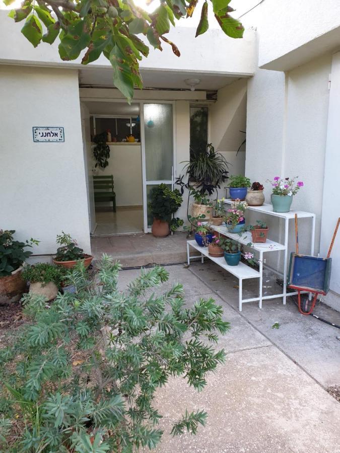 Apartmán פינה חמה ברמה Ejn Zivan Exteriér fotografie