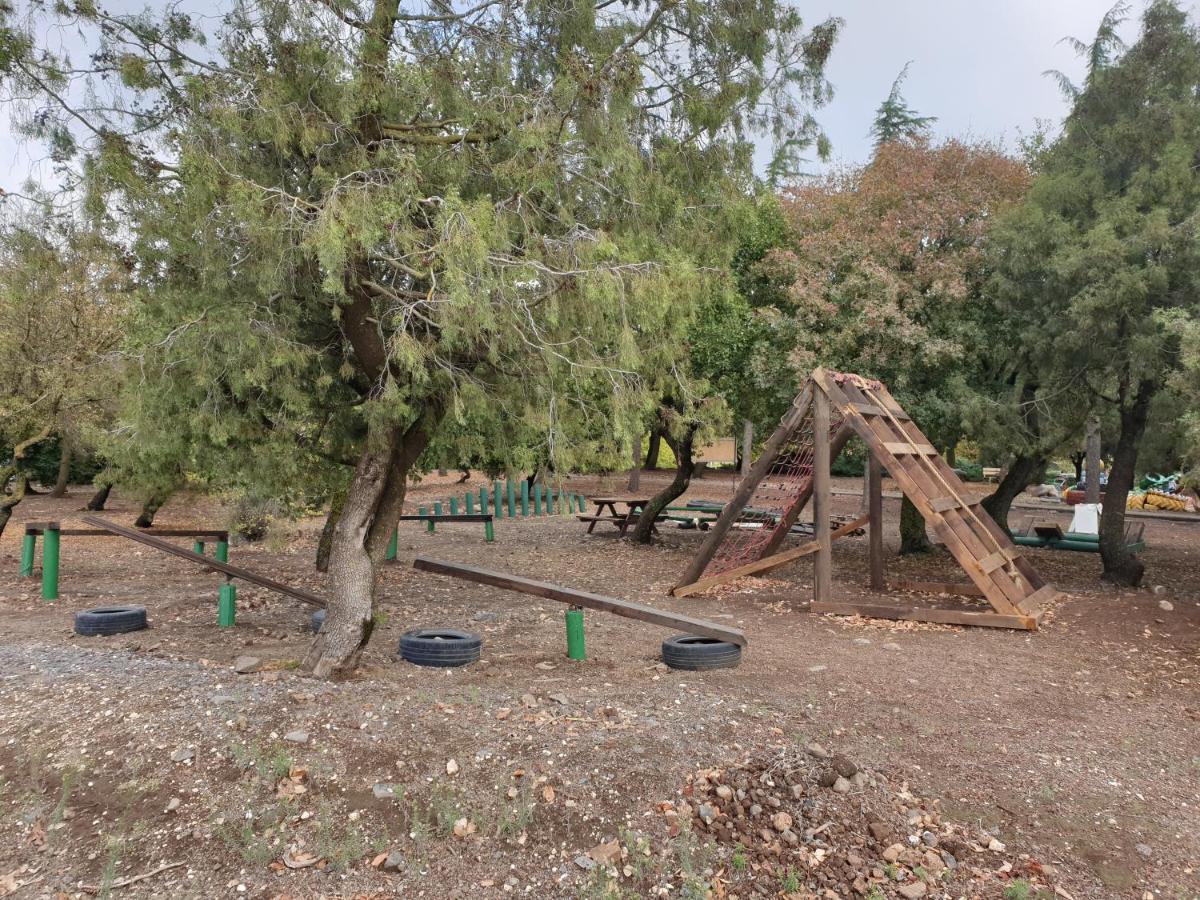 Apartmán פינה חמה ברמה Ejn Zivan Exteriér fotografie